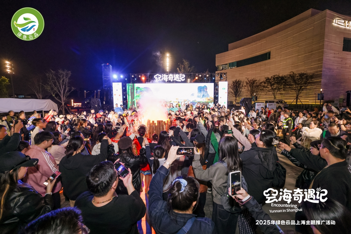 城市露营无热仿真篝火炉